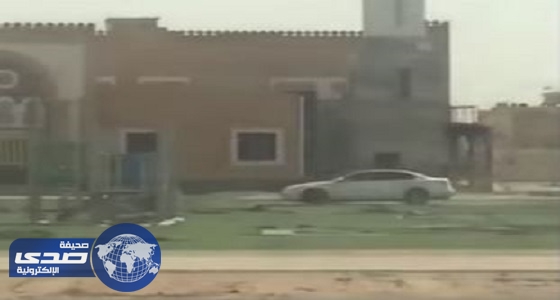 بالفيديو.. شاب يتعدى بسيارته على حديقة عامة في الرياض