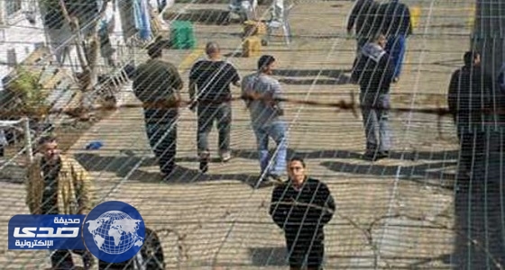 إضراب الأسرى الفلسطينيين يدخل يومه الـ 16 وسط تضامن محلي ودولي واسع