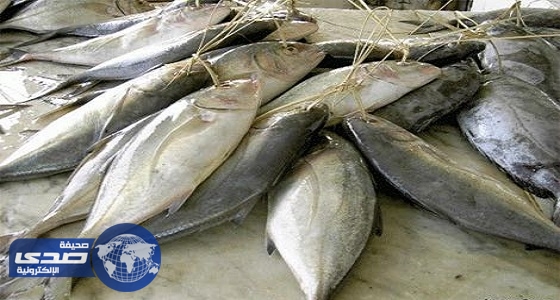 50% زيادة في أسعار الأسماك بجازان في غيبة الأجهزة الرقابية