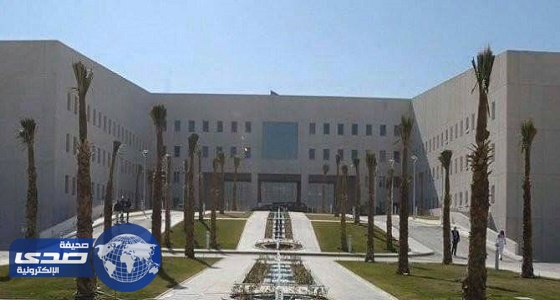 بالأسماء..تعيين 1494 خريجاً في تخصص الرياضيات