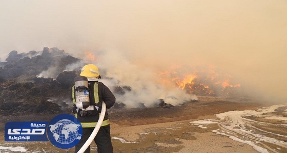 بالصور.. السيطرة علي حريق في مجموعة أعلاف بالكعكية