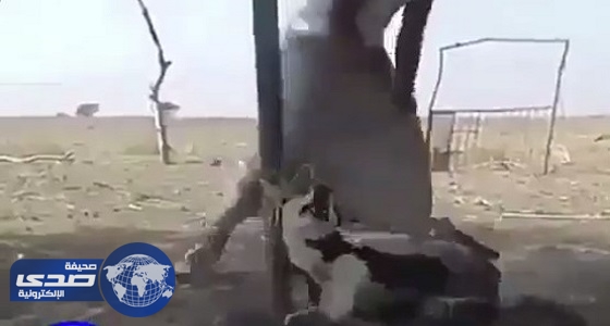 بالفيديو.. شاب يقتل كلب بطريقة وحشية