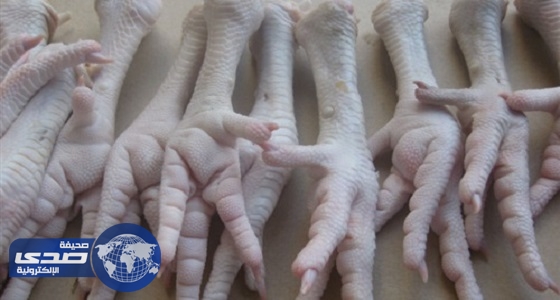 تاجر دواجن: المصريون يأكلون أرجل الدجاج للتغلب على أرتفاع الأسعار