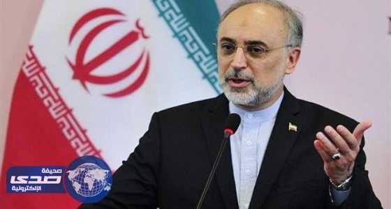 وزير خارجية إيران يصف اقتحام السفارة السعودية بالحماقة
