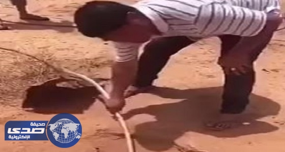بالفيديو.. مقيم يصطاد ضبا باستخدام المياه