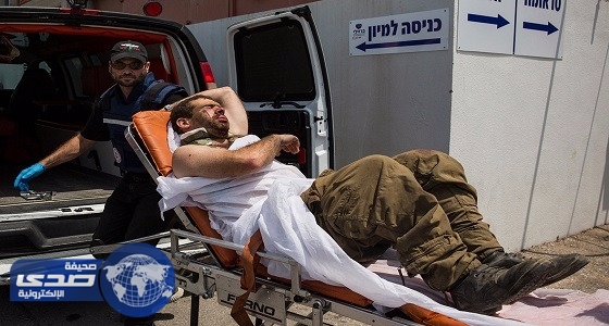 ثعلب يصيب 17 جنديا إسرائيليا في فلسطين
