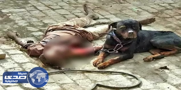 بالصور.. كلب يخنق حارس وينهش لحمه