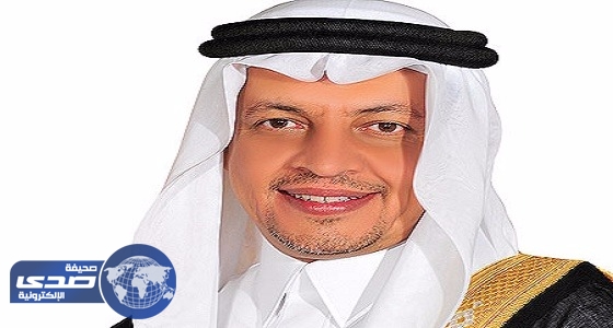 نائب وزير الاقتصاد : علاقتنا بألمانيا أكبر من صفقات السلاح