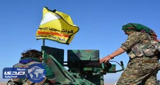 القوات السورية تقتل 14مسلحاً من داعش في سوريا