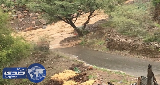 بالفيديو والصور.. هطول أمطار غزيرة على رجال ألمع