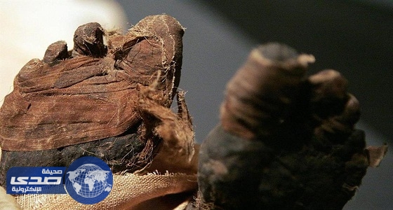 اكتشاف جبانة آدمية منذ العصور الوسطى تحتوي على مومياوات جنوب مصر