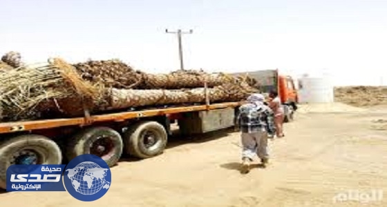 وزارة الزراعة تضبط 160فسيلة مخالفة لنظام الحجر الزراعي