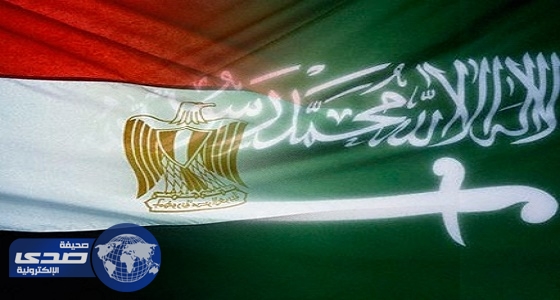 الأمير محمد بن سلمان: الإعلام «الإخوانجي» يحاول الترويج لخلافات بين المملكة ومصر