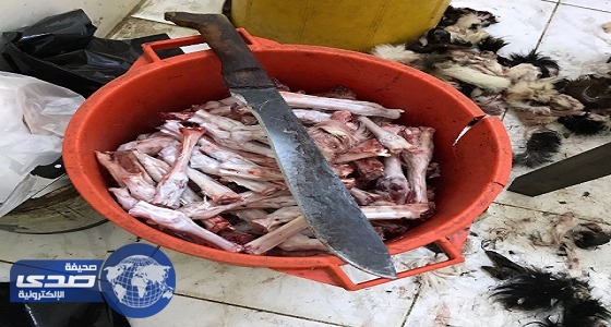 بالصور.. إغلاق مسلخ شهير بنجران قبل بيعه بقايا ذبائح