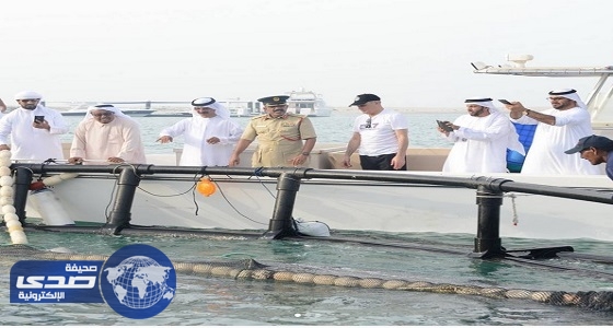 «خلفان» يشرف على إطلاق مئات الأسماك لتعزيز المخزون السمكي