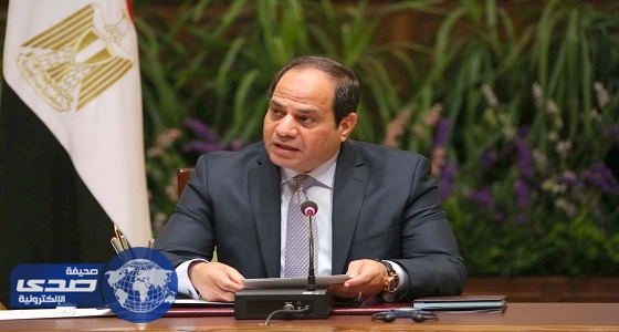 الرئيس المصري: ثورة 30 يونيو كشفت نوايا الدول الداعمة للإرهاب
