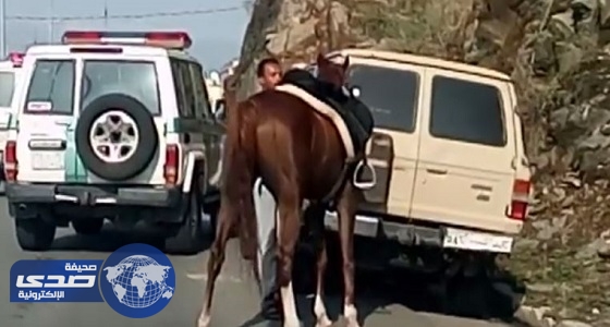 بالفيديو.. مواطن يسيطر على حصان هائج تسبب في عرقلة السير بمحايل عسير