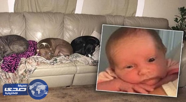 تركا طفلتيهما الرضيعة برفقة 3 كلاب بمفردها فقتلوها