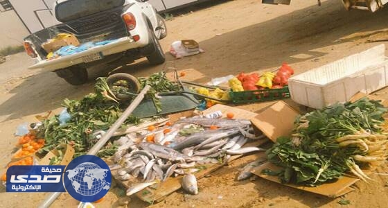 إغلاق 17 محلا مخالفا ومصادرة نصف طن مواد غذائية فاسدة بجازان