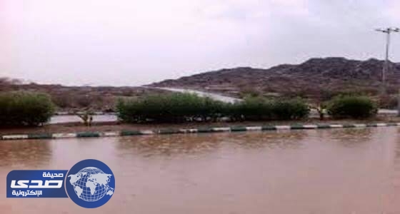 هطول أمطار على محافظة بارق