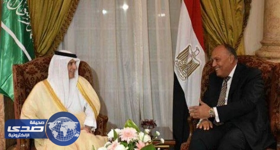 الجبير يبحث مع وزير الخارجية المصري تعزيز العلاقات الثنائية بني البلدين