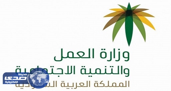 «العمل» تواصل جولاتها التفتيشية خلال إجازة رمضان وشوال