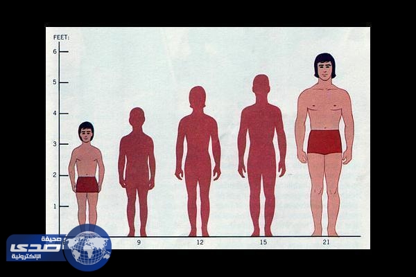 فيديو يوضح كم ازداد طول البشر على مدى 100 عام ؟