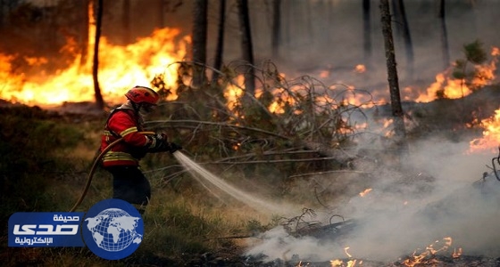 مقتل وإصابة 39 شخصاً جراء حريق غابات وسط البرتغال