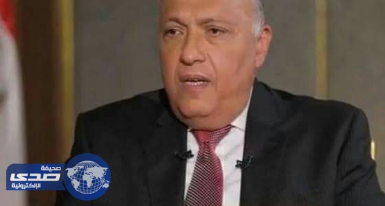 وزير الخارجية المصري: شروط الدول الأربع لقطر ضرورية لحماية الأمن العربي
