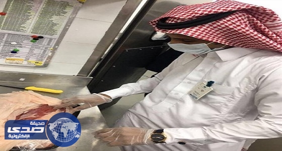 ضبط 346 كيلو أسماك ولحوم فاسدة بحائل