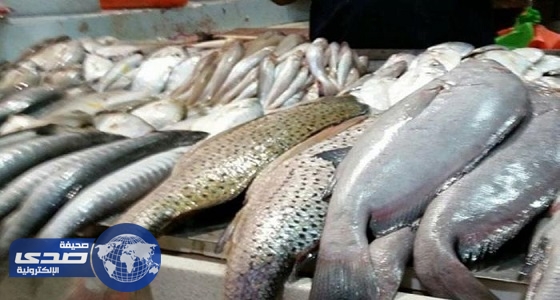 طوكيو تنقل أكبر سوق أسماك في العالم لمكان لآخر