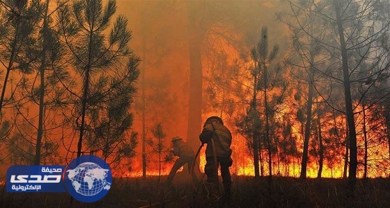 فرنسا تعلن مقتل أحد رعاياها في حرائق الغابات بوسط البرتغال