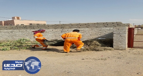 بالصور.. أمانة الطائف تستجيب لـ«صدى» بتهيئة مصليات العيد بالسيل الكبير