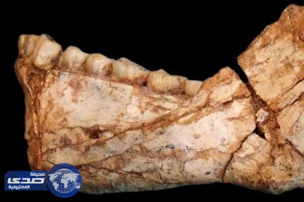 اكتشاف أركيولوجي يُجبر علماء المغرب على إعادة كتابة نظرياتهم التاريخية