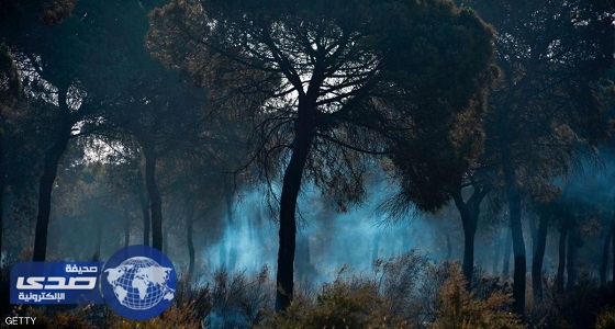 حريق غابات ضخم قرب الحدود الفرنسية الإسبانية