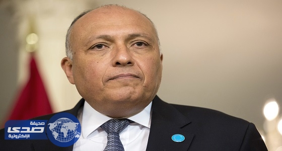 وزير الخارجية المصري يبحث مع أمين عام التعاون الإسلامي تطورات أوضاع المنطقة