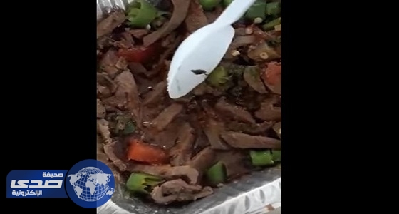 بالفيديو.. مواطن يعثر على صرصور داخل وجبة بمطعم في ينبع