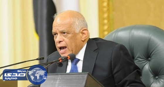 رئيس النواب المصري يدعو الدول العربية للتكاتف في مواجهة الإرهاب