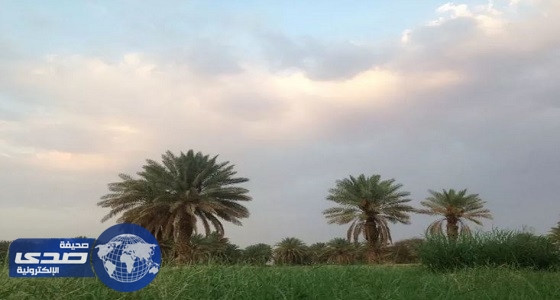 صاحب 23 مزرعة في العلا ينتظرون إعفاءهم من القروض