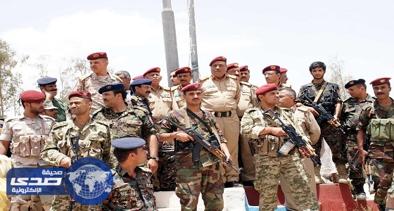 الجيش اليمني يسيطر على عزلة الهاملي