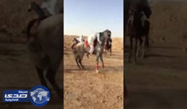 بالفيديو.. سقوط مروع لشاب من على حصان