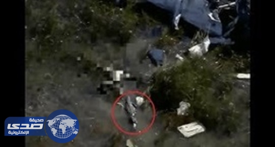 بالفيديو.. تمساح يلتهم جثة ضحية تحطم طائرة