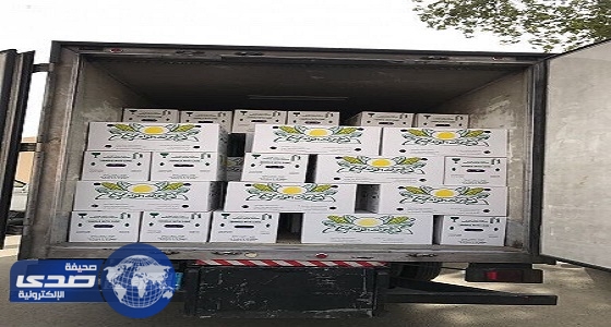 إتلاف 76 ألف طبق بيض غير صالح للاستهلاك الآدمي بالشرورة