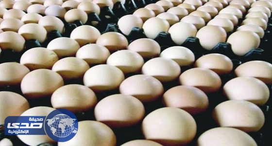 &#8221; مختص زراعي &#8221; يكشف أسباب ارتفاع أسعار البيض