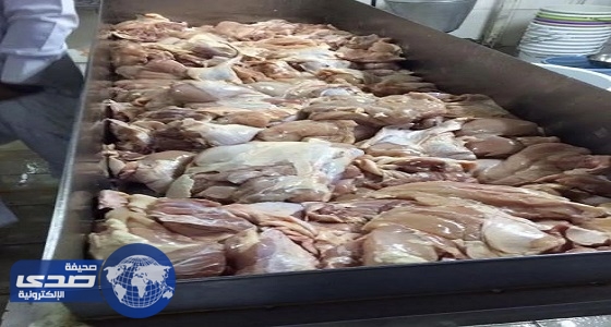 أمانة الطائف تعدم 20 طن لحوم دجاج فاسدة
