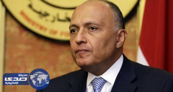 وزير الخارجية المصري: لا يمكن التسامح مع الدور التخريبي لقطر