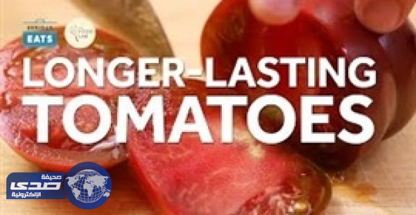بالفيديو.. أسهل طريقة للحفاظ على الطماطم طازجة لفترة طويلة
