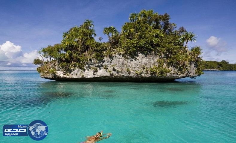 بالصور.. هذه الجزيرة الساحرة معروضة للبيع بسعر زهيد