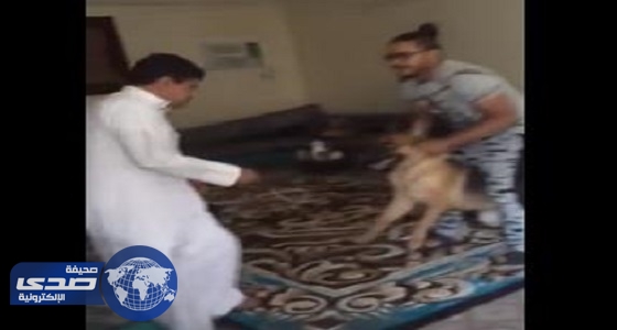 بالفيديو.. «كلب بوليسي» ينقض على شاب وأصدقائه يلحقونه