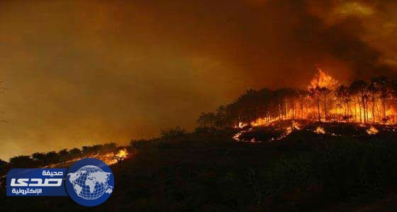 إخماد 11 حريق شب في غابات تونس